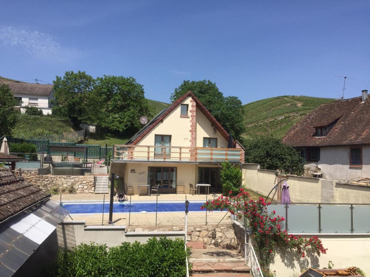 Les Gites 2-4 Pers Remy Herold Katzenthal Exterior photo