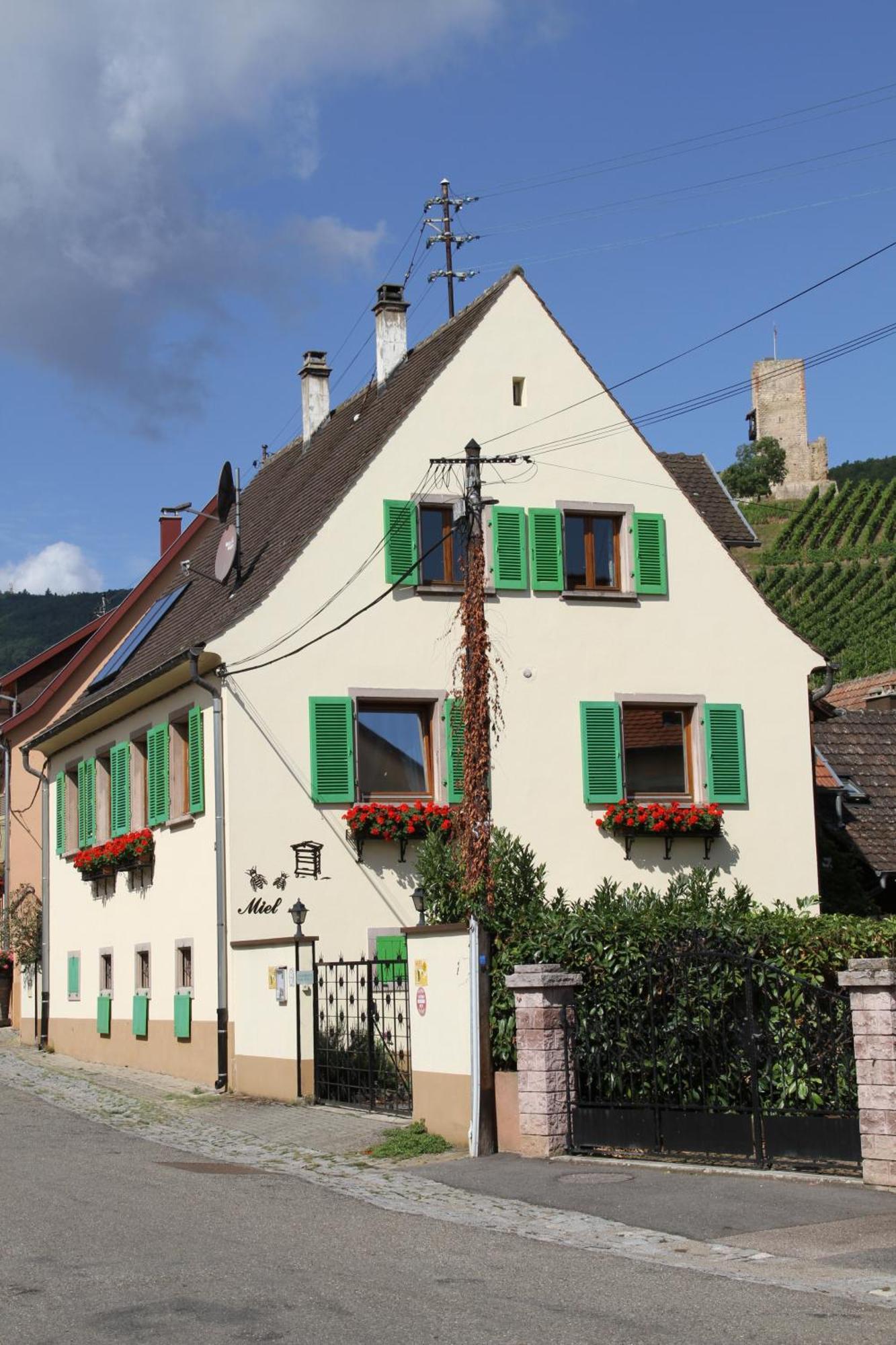 Les Gites 2-4 Pers Remy Herold Katzenthal Exterior photo